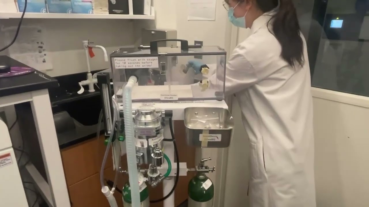 Tutorial: How to perform CT scans and BMD analysis with a Scintica DXA