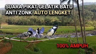 Download lagu Suara Pikat Gelatik Batu Untuk Memikat Burung Yang Sering Dipikat/nggak mau turun. mp3 Download lagu Suara Pikat Gelatik Batu Untuk Memikat Burung Yang Sering Dipikat/nggak mau turun. mp3