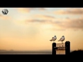 Aquilo - Losing You (Mura Masa Remix) [TrapChill ...