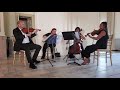 Wouldn't It Be Nice, String Quartet ~ Columbus Musicians, LLC