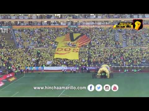 Hinchada | Barcelona 5-0 Emelec | 15 de mayo