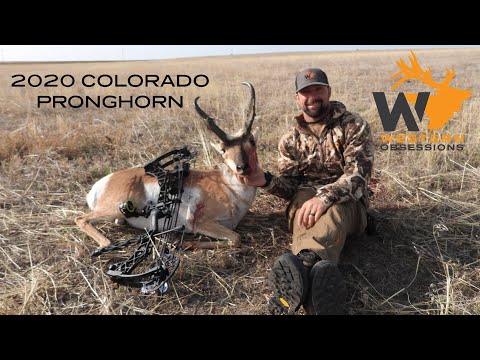 Pope & Young Pronghorn — Colorado Archery