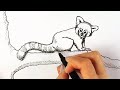 How to draw a red panda step by step easy