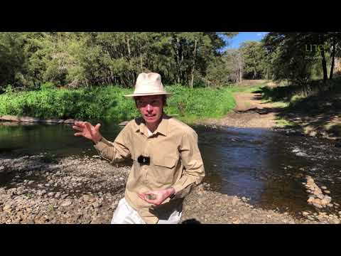 ⚒️ George the Geologist - Future Conglomerate