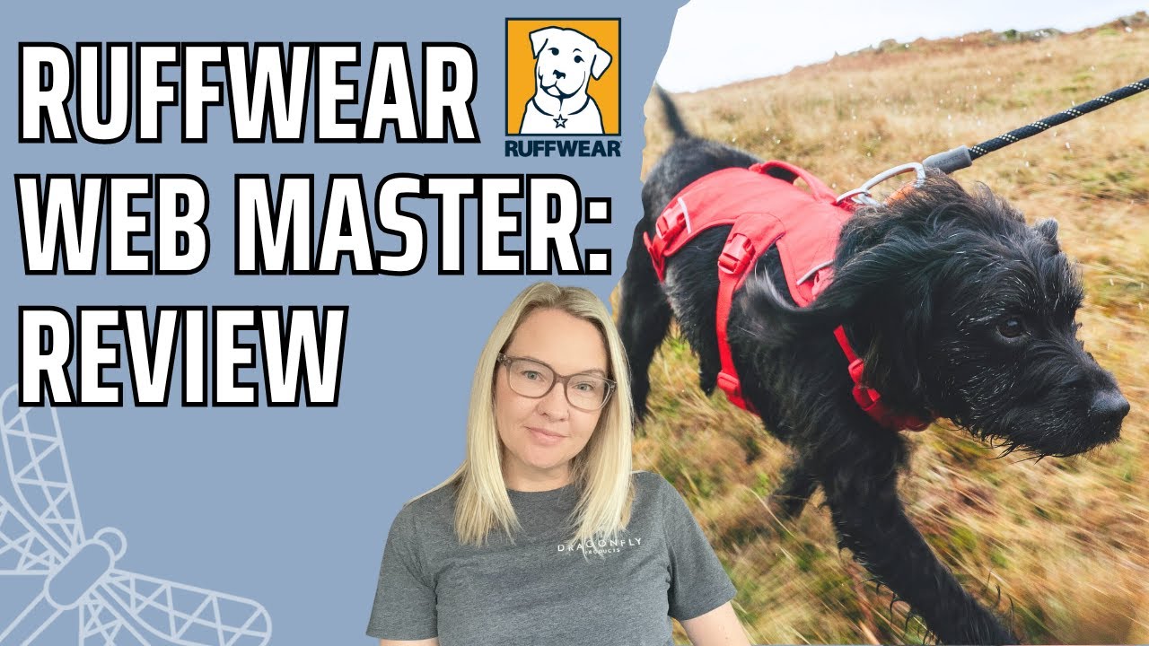 We Tried the New Ruffwear Webmaster Dog Harness - HONEST REVIEW | Video