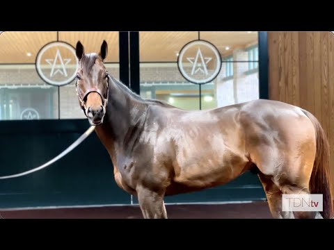 Life Is Good, The Newest Addition at WinStar Farm