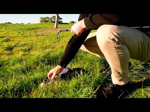 Golf Rules - Ball at rest against movable obstruction