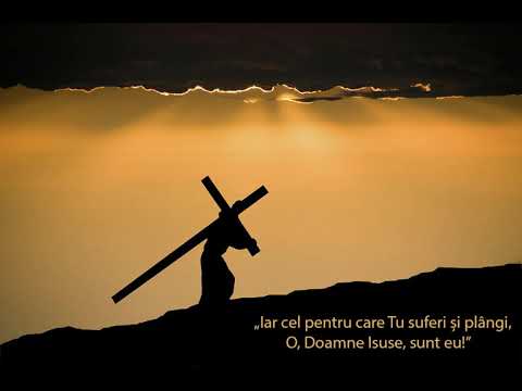 Christian Dragomir - Siroaie de sange