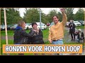 Honden voor Honden loop 2021 | DierenpraatTV