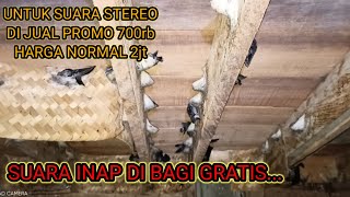 Download lagu SUARA INAP BERKUALITAS DI BAGI GRATIS UNTUK SUARA STEREO DI BUKA HARGA PROMO Rp.700 HARGA NORMAL 2JT mp3