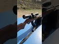 I love the Ruger 10/22