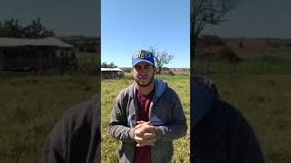 Vídeo Virginiamicina+Monensina -  Acelera o Crescimento e a Engorda da Boiada