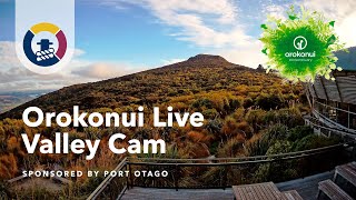 Live Orokonui Valley Cam – #ValleyCam – Orokonui Ecosanctuary | Port Otago live webcam