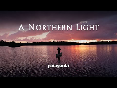 It’s All Home Water | A Northern Light