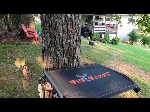 Big Game Hang On Stand Review and Mods
