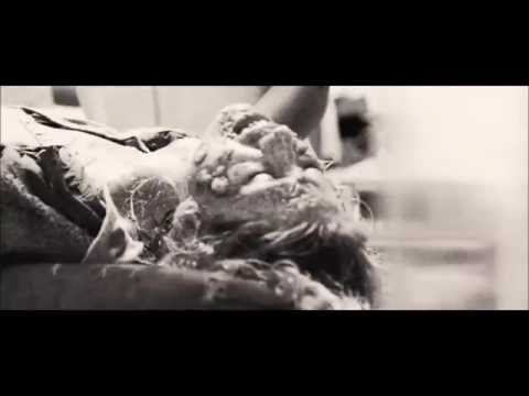download lagu mp3 mp4 Doomsday 2008, download lagu Doomsday 2008 gratis, unduh video klip Doomsday 2008