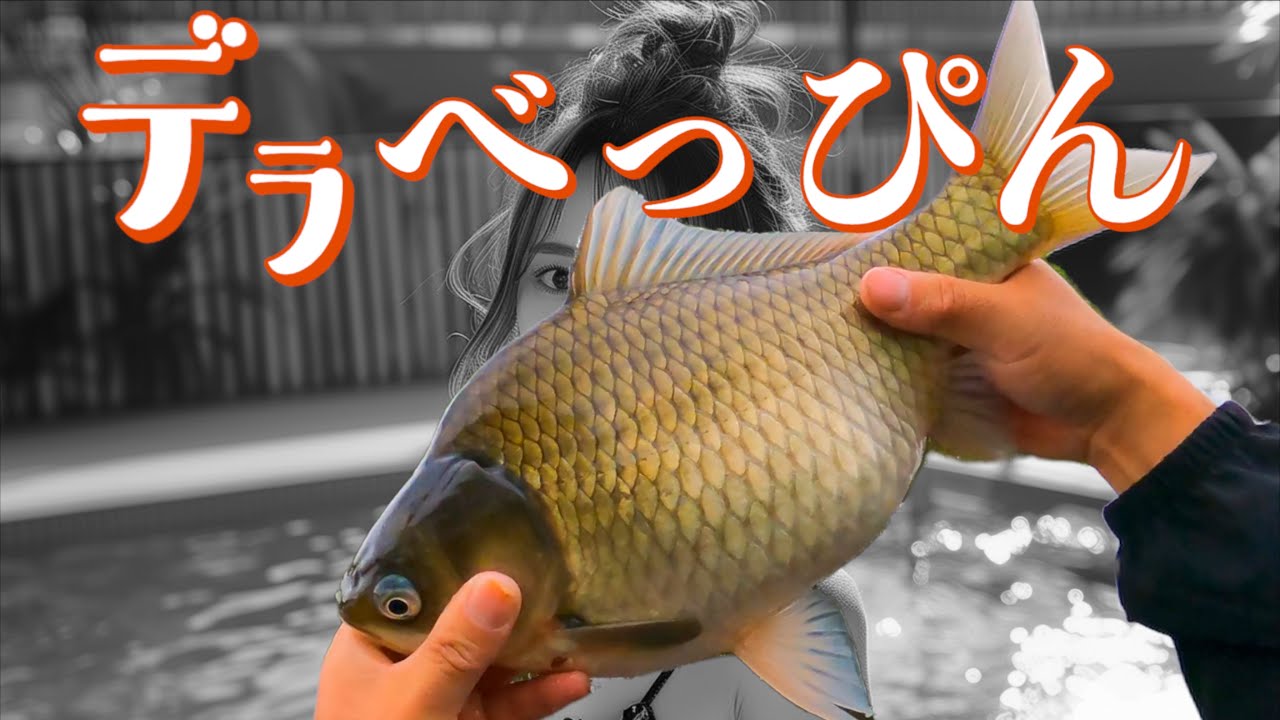 草むらで巨ベラとデラべっぴんを探すのが私の人生【2024印旛沼 前篇】利根川 栗山川 乗っ込みヘラブナ釣り