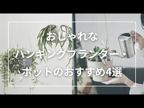 フラワーポット: 屋外スペースを明るくするアイデア!  庭園