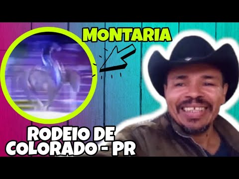 Montaria no Rodeio de Colorado 2001 ( Cutiano)