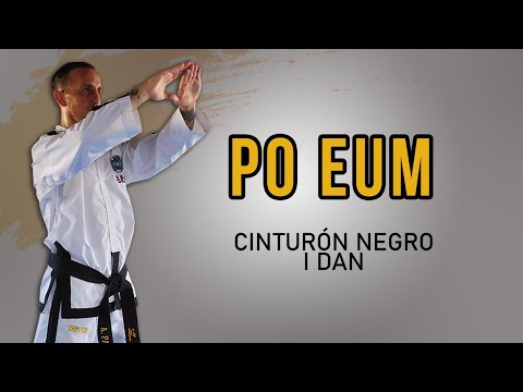 TAEKWONDO STUDIO and TAEKWONDO ATRA SUR