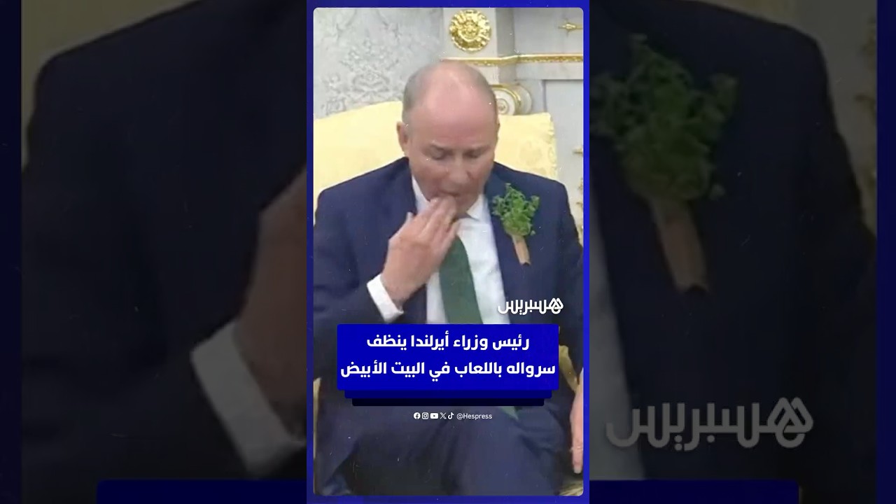 "المسحوق الأسود" على البصل.. تحذيرات من عفن خطير قد يخترق كامل الطبقات ويهدد سلامتك الغذائية thumbnail