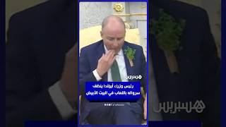 "المسحوق الأسود" على البصل.. تحذيرات من عفن خطير قد يخترق كامل الطبقات ويهدد سلامتك الغذائية thumbnail