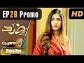 Pakistani Drama | Zid - Episode 29 Promo | Express TV Dramas | Arfaa Faryal, Muneeb Butt