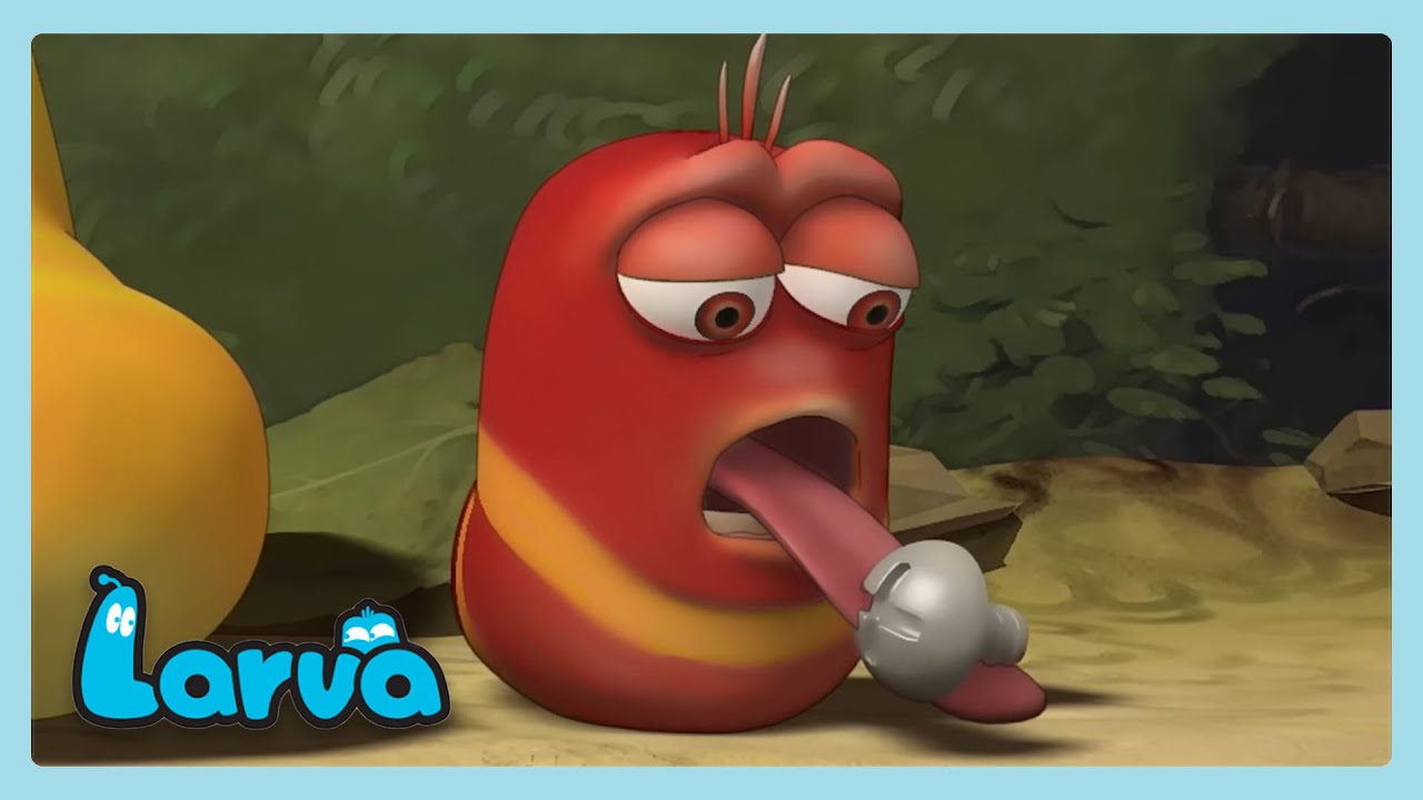 Rojo come un tornillo | LARVA | Wildbrain Niños