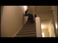 Guy Falling Down Stairs Vine