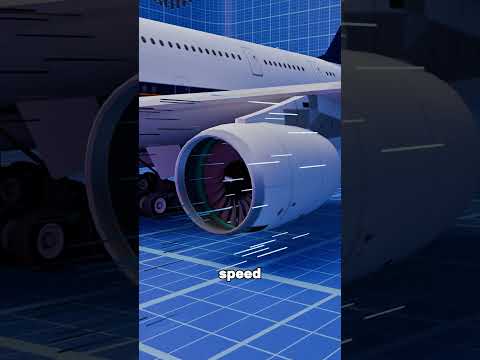 Why Planes Can’t Have Grills in Front of Engines ✈️