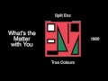 Split Enz - What's the Matter with You - True Colours [1980]