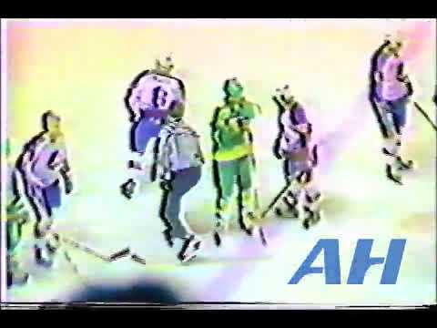 NHL Mar. 28, 1980 Jimmy Mann,WPG v Dave Hanson,MIN Winnipeg Jets Minnesota North Stars