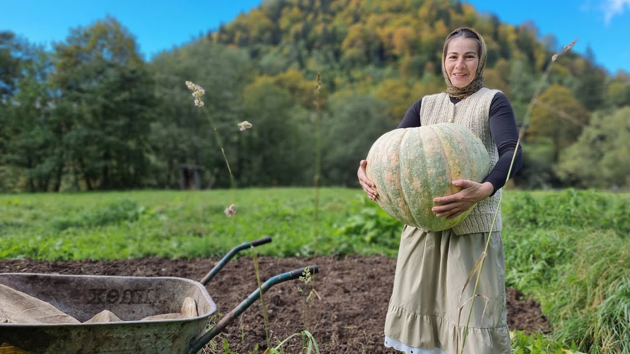 THE WOMAN LIVES ALONE IN THE MOUNTAINS. SHE Will Cook an Amazing Pumpkin Porridge