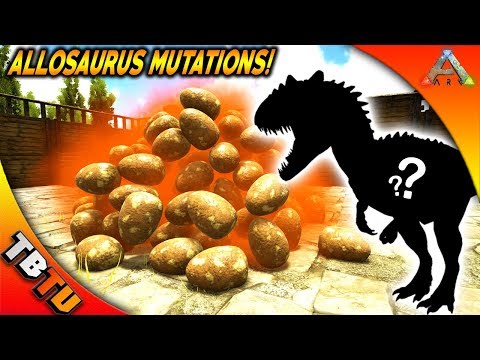 FULLY MUTATED ALLOSAURUS! ALLOSAURUS BREEDING AND MUTATIONS! Ark: Survival Evolved Zoo