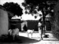 HIYA JARAT RAHAT DIN RAIYAN HO RAMA A TRI BUTE TO PT RAVI SHANKAR BY AJAY SAHU