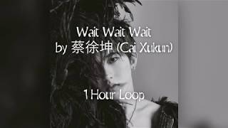 Wait Wait Wait by 蔡徐坤 (Cai Xukun) 1 Hour Loop