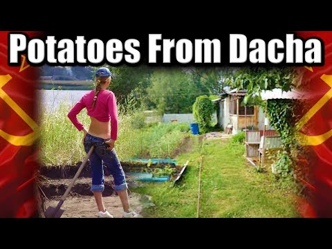 Soviet Dacha Life. Unique Potato Storage Solutions #ussr