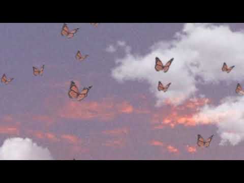 Pra sonhar -Marcelo Jeneci [ legendado/letra]