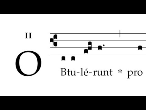 Responsorium: Obtulerunt pro eo Domino