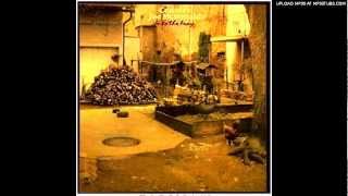 Country Joe McDonald - Coyote