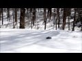 Snow Drift - Iron Track Tyronno 1/18th Scale SCT ...