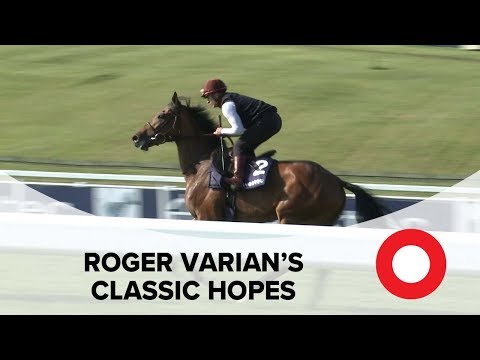 2019 Investec Derby Festival: Roger Varian gallops Tauteke at Epsom