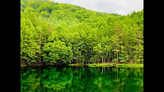 [遊記] 秘境成名景！獨覽御射鹿池魔幻魅力