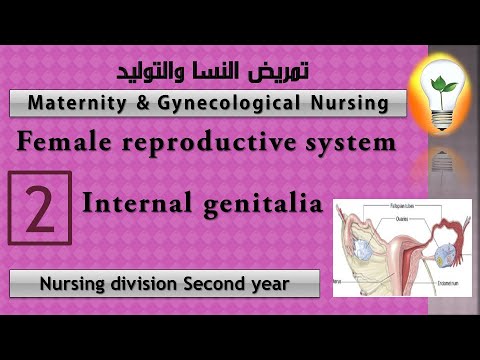 Maternity Nursing 1 Female reproductive system part 1 الجهاز التناسلي الأنثوي