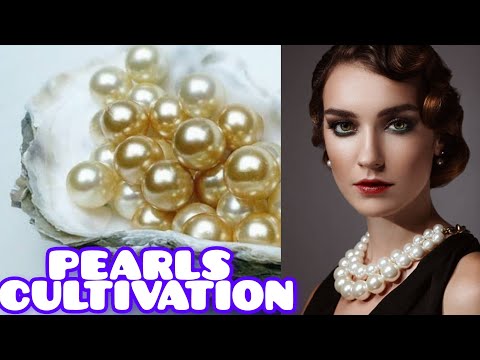 BEST METHOD OF EARNING MONEY || PEARLS (MOTI) CULTIVATION