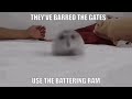 THEY VE BARRED THE GATES USE THE BATTERING RAM
