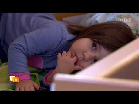 heute mittag (ORF2) - Studie  Stellenwert des Kindergartens steigt