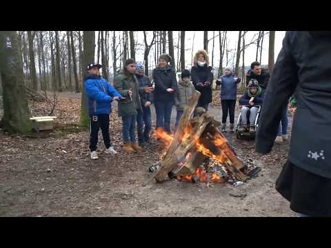 Wo schon bald Spechte einziehen sollen