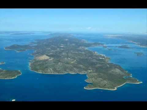 Berekini -  Dizem sidro