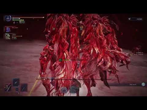 [NR:TFH] SQ Trio D5 SSB Harmonia